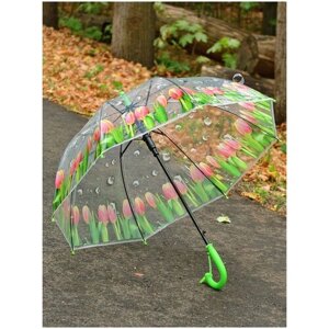 Зонт-трость Rain-Proof, полуавтомат, купол 77 см., система «антиветер», прозрачный, зеленый