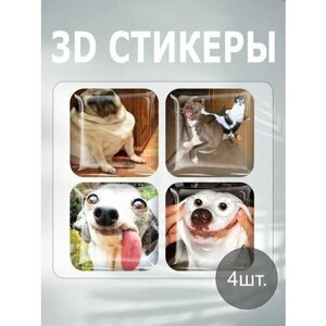 3D наклейка на телефон, Набор объемных наклеек - Мемные собаки 3D стикеры Мем прикол пес