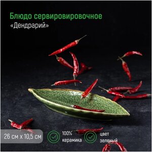 Блюдо керамическое сервировочное «Дендрарий», 2610,51,5 см, цвет зелёный
