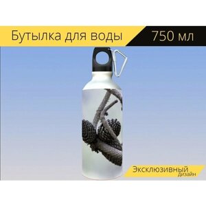Бутылка фляга для воды "Ананасы, шишек дерево, сосна" 750 мл. с карабином и принтом