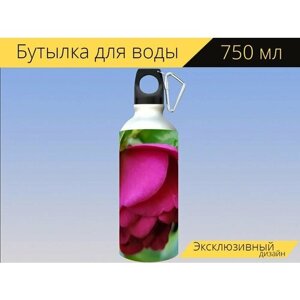 Бутылка фляга для воды "Цветок, камелия, сасанквы" 750 мл. с карабином и принтом