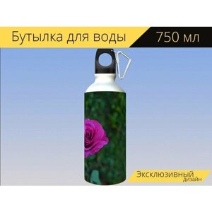 Бутылка фляга для воды "Цветок, роза, лепестки" 750 мл. с карабином и принтом