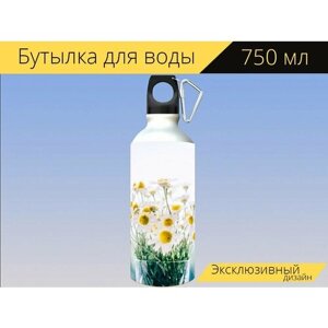 Бутылка фляга для воды "Цветы, стекло, банка" 750 мл. с карабином и принтом