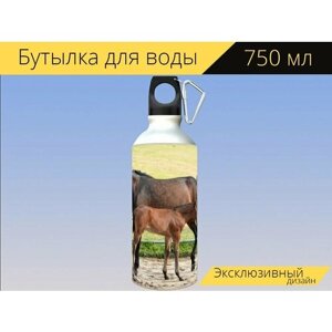 Бутылка фляга для воды "Ферма, лошадь, лошади" 750 мл. с карабином и принтом