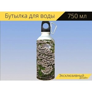 Бутылка фляга для воды "Грибок, гриб, мох" 750 мл. с карабином и принтом