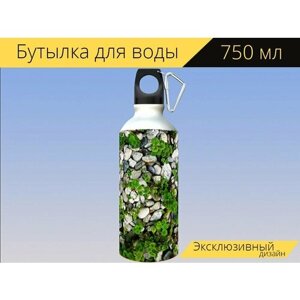 Бутылка фляга для воды "Камни, камешки, растения" 750 мл. с карабином и принтом