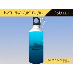 Бутылка фляга для воды "Кит, пахло, нырять" 750 мл. с карабином и принтом