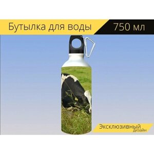 Бутылка фляга для воды "Корова, говядина, крупный рогатый скот" 750 мл. с карабином и принтом