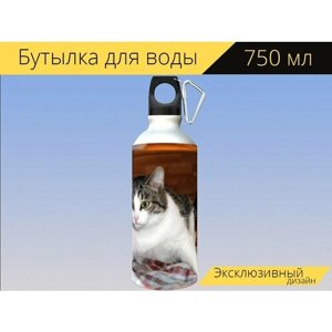Бутылка фляга для воды "Кот, котенок, кошка" 750 мл. с карабином и принтом