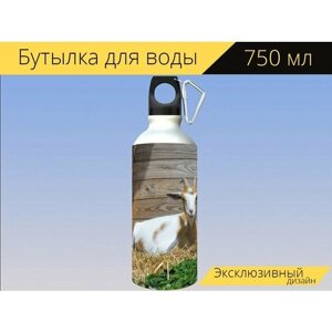 Бутылка фляга для воды "Козел, домашняя коза, козочка" 750 мл. с карабином и принтом