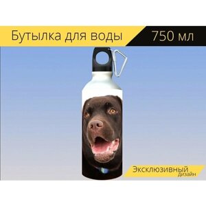 Бутылка фляга для воды "Лабрадор, браун, собака" 750 мл. с карабином и принтом