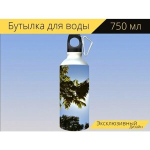 Бутылка фляга для воды "Листья, лист, дерево" 750 мл. с карабином и принтом