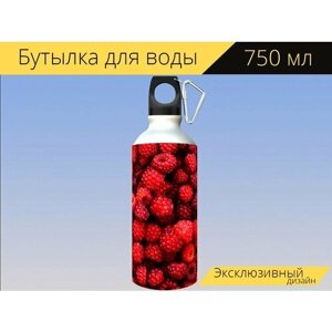 Бутылка фляга для воды "Малина, красный, ягода" 750 мл. с карабином и принтом