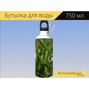 Бутылка фляга для воды "Маргаритка, трава, белый" 750 мл. с карабином и принтом