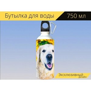 Бутылка фляга для воды "Милый, портрет, собака" 750 мл. с карабином и принтом