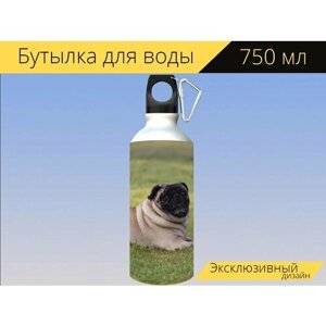 Бутылка фляга для воды "Мопс, собака, домашний питомец" 750 мл. с карабином и принтом