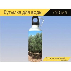 Бутылка фляга для воды "Оливковые деревья, строка, оливки" 750 мл. с карабином и принтом