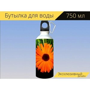 Бутылка фляга для воды "Оранжевый цвет, цветок, хризантема" 750 мл. с карабином и принтом