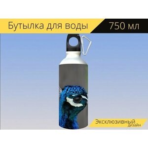 Бутылка фляга для воды "Павлин, голова павлина, синий" 750 мл. с карабином и принтом