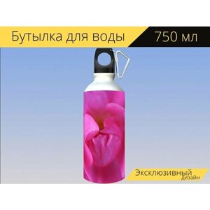 Бутылка фляга для воды "Роза, цвести, цветок" 750 мл. с карабином и принтом