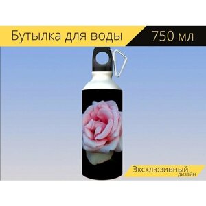Бутылка фляга для воды "Роза, цветок, роса" 750 мл. с карабином и принтом