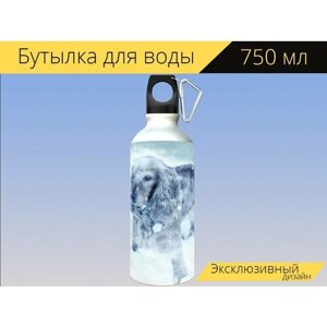 Бутылка фляга для воды "Собака, кокерспаниель, зима" 750 мл. с карабином и принтом