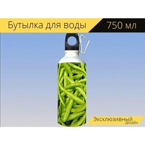 Бутылка фляга для воды "Стручковая фасоль, уборка урожая, овощ" 750 мл. с карабином и принтом