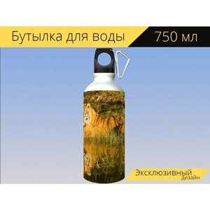 Бутылка фляга для воды "Тигр, сибирский тигр, отражение тигра" 750 мл. с карабином и принтом