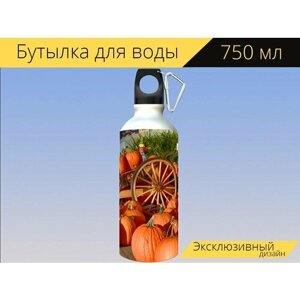 Бутылка фляга для воды "Тыквы, апельсин, фрукты" 750 мл. с карабином и принтом