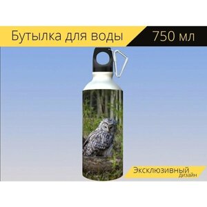 Бутылка фляга для воды "Уральская сова, strix uralensis, птица" 750 мл. с карабином и принтом