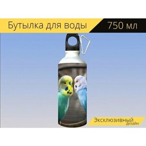 Бутылка фляга для воды "Волнистый попугайчик, дружба, привязанность" 750 мл. с карабином и принтом
