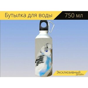Бутылка фляга для воды "Волнистый попугайчик, попугай, птица" 750 мл. с карабином и принтом