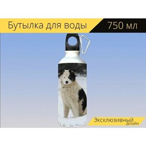 Бутылка фляга для воды "Якутская лайка, собака, снег" 750 мл. с карабином и принтом