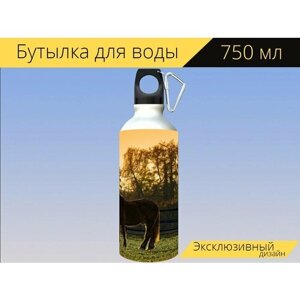 Бутылка фляга для воды "Зоопарк, млекопитающее, природа" 750 мл. с карабином и принтом