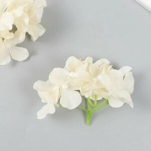 Цветы для декорирования "Гортензия" бело-жёлтые 10х10 см
