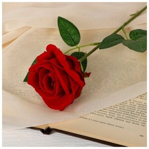 Цветы искусственные «Роза боливийская» 8х55 см, красный