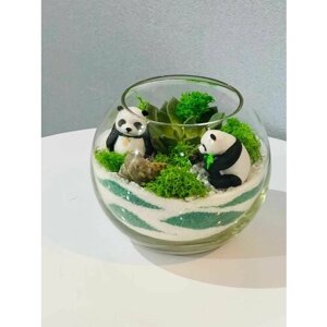 Флорариум с пандами / Комнатное растение / Подарок