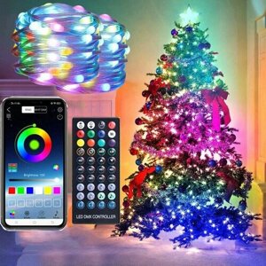 Гирлянда LED RGB (APP,10м, USB) огонек OG-LDG19