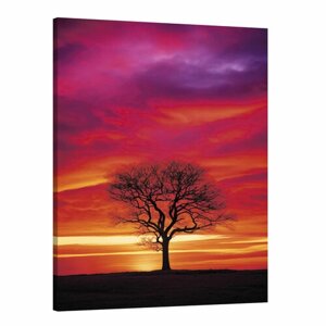 Интерьерная картина 50х70 "Сияющий закат"