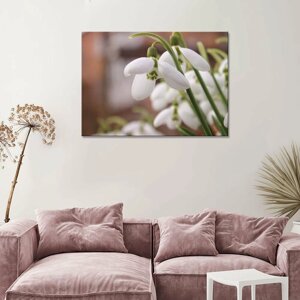 Интерьерная картина на холсте - белый подснежник 50х70