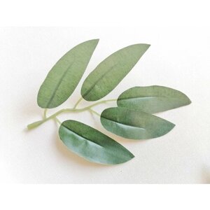 Искусственные листья рускуса, цвет зеленый, набор 10 шт