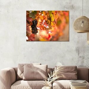 Картина/Картина на холсте для интерьера/Картина на стену/Картина для кухни/виноград осенью 30х40