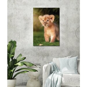 Картина - Львенок, лев хищник, маленький лев, милый львенок (12) 50х70