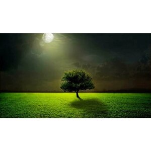 Картина на холсте 110x60 LinxOne "Green night grass moon field" интерьерная для дома / на стену / на кухню / с подрамником