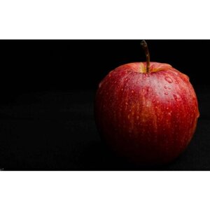 Картина на холсте 60x110 LinxOne "Яблоко, фрукт, спелый, капли" интерьерная для дома / на стену / на кухню / с подрамником
