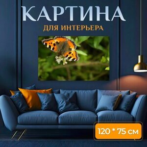 Картина на холсте "Бабочка, насекомое, крылья" на подрамнике 120х75 см. для интерьера