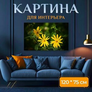 Картина на холсте "Цветок, природа, желтый" на подрамнике 120х75 см. для интерьера