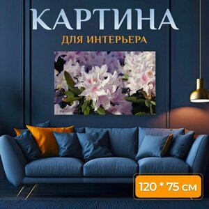 Картина на холсте "Цветок, рододендрон, весна" на подрамнике 120х75 см. для интерьера