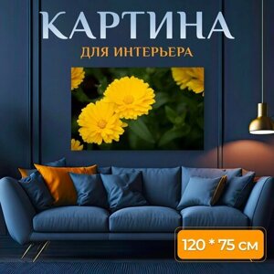 Картина на холсте "Цветок, желтый, расцветает" на подрамнике 120х75 см. для интерьера