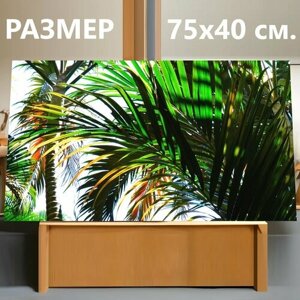 Картина на холсте "Дерево пальмы, пляж, тропический" на подрамнике 75х40 см. для интерьера